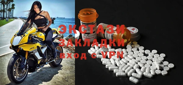 дмт Богданович