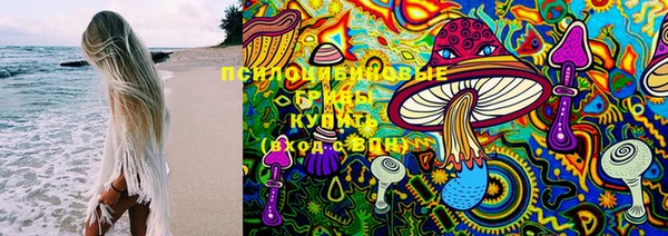 дмт Богданович
